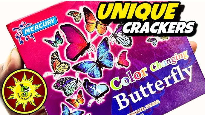 LOTTY BUTTERFLY